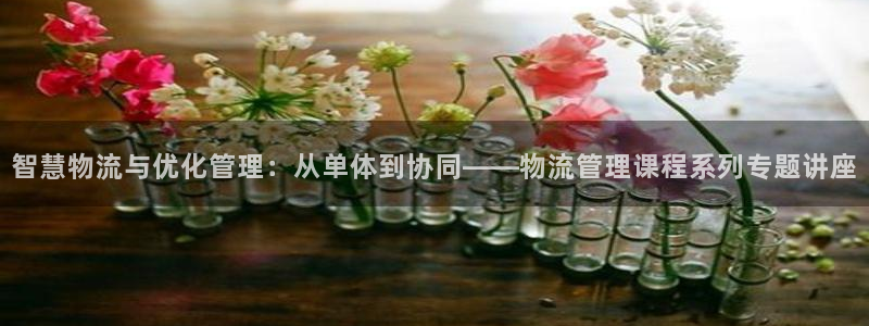 狗子28加拿大app预测：智慧物流与