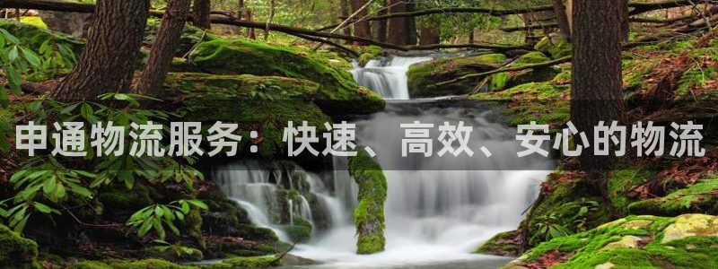 狗子28如何看计划：申通物流服务：快