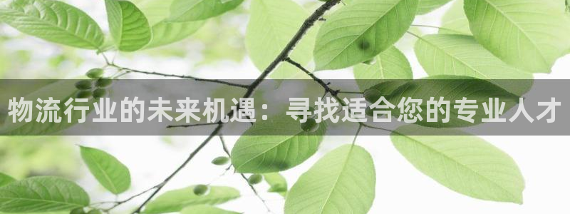 狗子28比特28预测在线预测：物流行