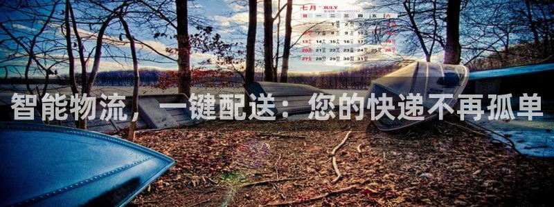 狗子28电子：智能物流，一键配送：您