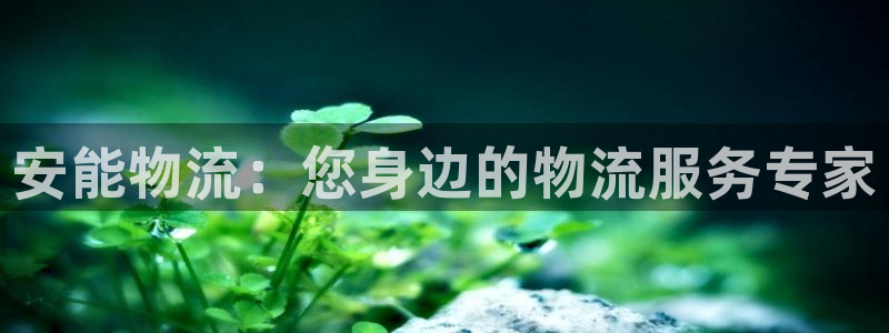 自行车狗子28是什么意思：安能物流：