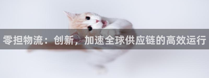狗子28官网链接