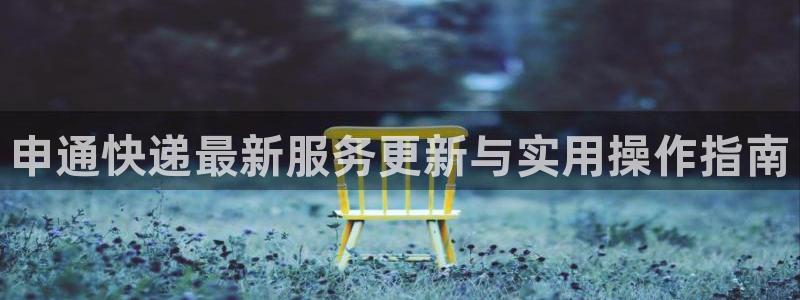 狗子28加拿大模拟器：申通快递最新服