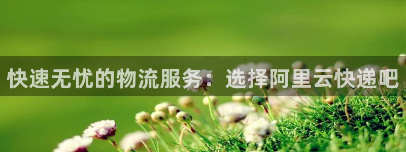 狗子28为什么打不开