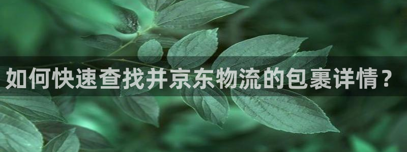 狗子28注册链接：如何快速查找并京东