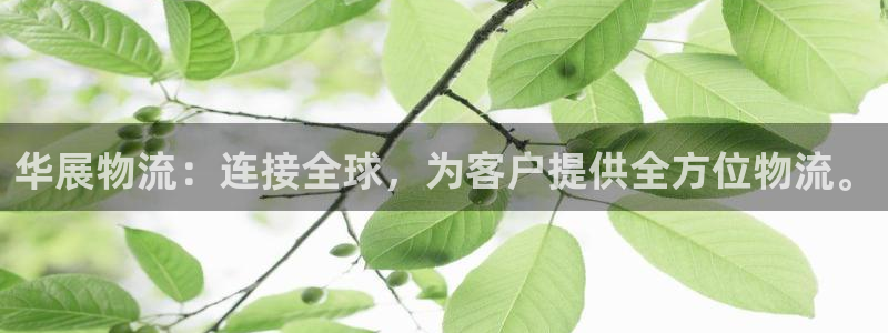 狗子28登录不上咋回事：华展物流：连