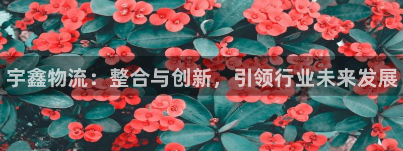 狗子28官网多少：宇鑫物流：整合与创