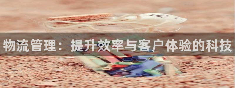 狗子28下分了不给钱：物流管理：提升