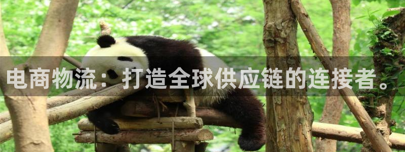 狗子28充值不处理怎么办：电商物流：
