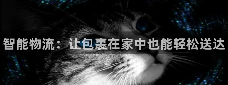 狗子28加拿大能提现吗：智能物流：让
