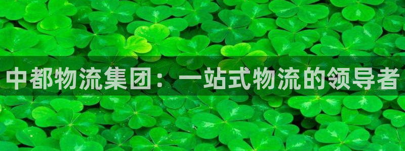 狗子28正规吗