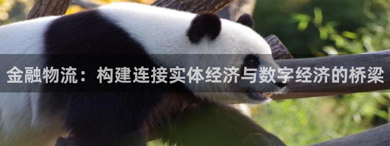 狗子28能赢钱吗：金融物流：构建连接实体经济与数字经济的桥梁