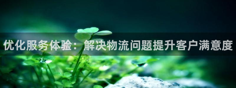 pc狗子28怎么注册：优化服务体验：解决物流问题提升客户满意