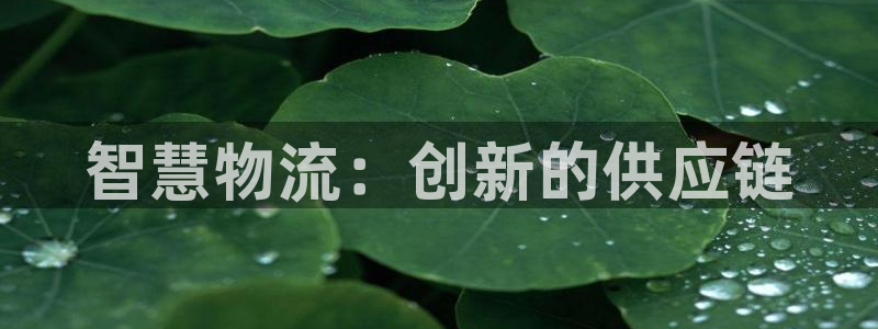pc狗子28怎么注册：智慧物流：创新的供应链