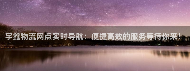 狗子28模拟器在线使用：宇鑫物流网点实时导航：便捷高效的服务