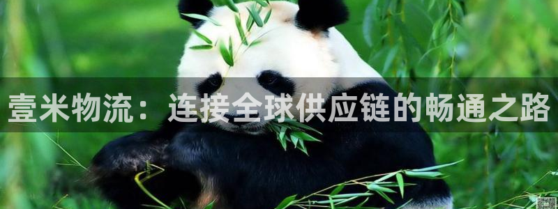 狗子28怎么申请代理：壹米物流：连接