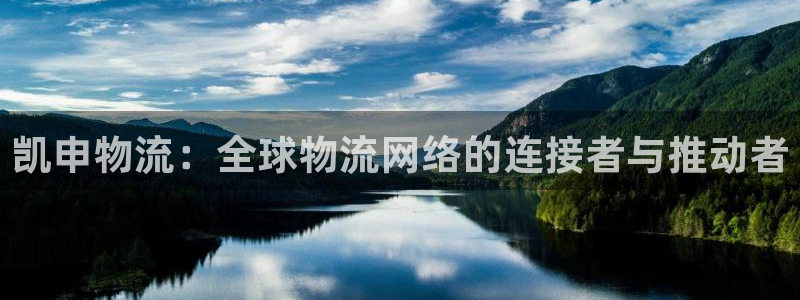 狗子28p扣款什么意思:凯申物流:全