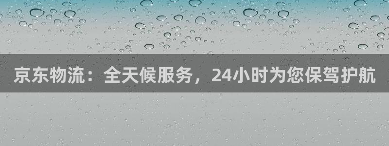 狗子28怎么下载不了:京东物流:全天