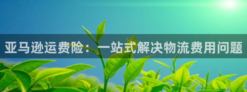 狗子28免费充钱：亚马逊运费险：一站