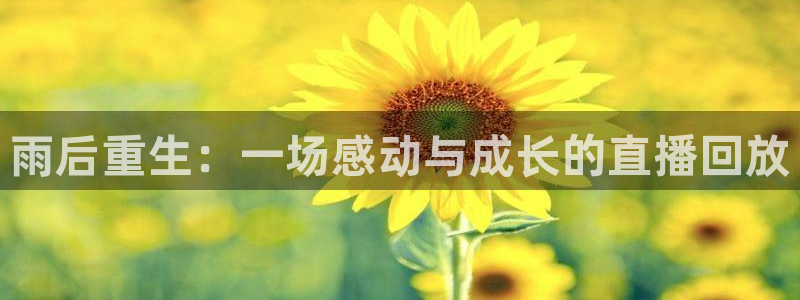 鲸鱼直播(体育直播)：雨后重生：一场感动与成长的直播回放
