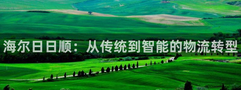 狗子28预测网:海尔日日顺:从传统到