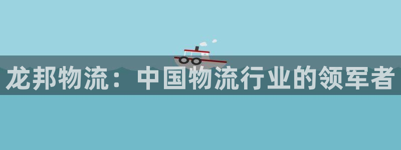 狗子28麻将:龙邦物流:中国物流行业