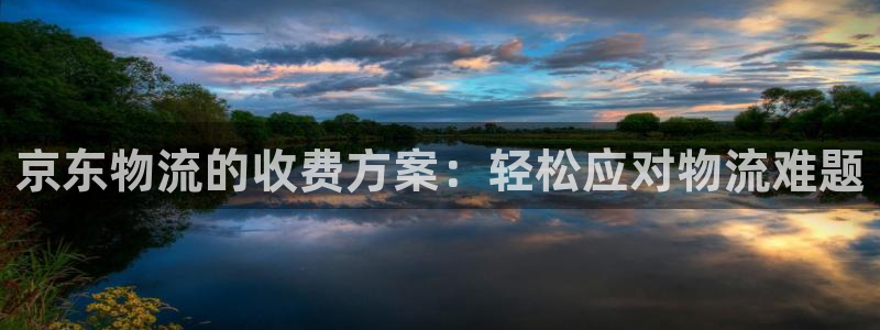 狗子28预测加拿大：京东物流的收费方案：轻松应对物流难题