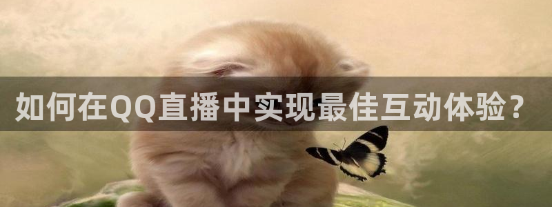 鲸鱼体育直播
