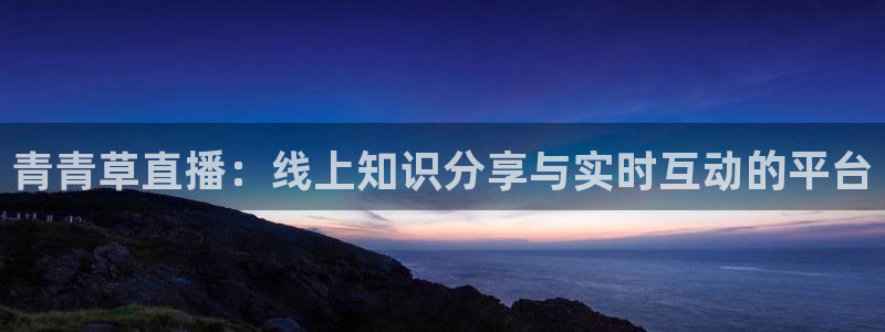 鲸鱼足球体育直播