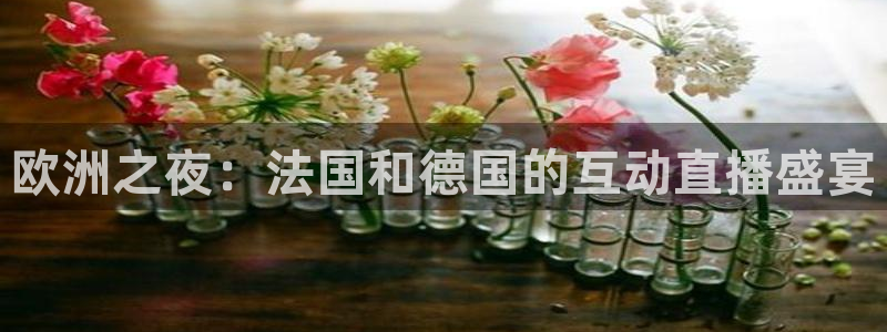 鲸鱼体育免费版