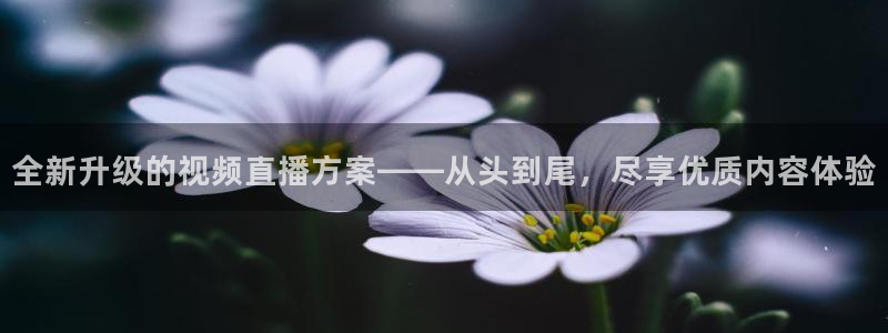 鲸鱼体育在线直播nba：全新升级的视频直播方案——从头到尾，尽享优质内容体验
