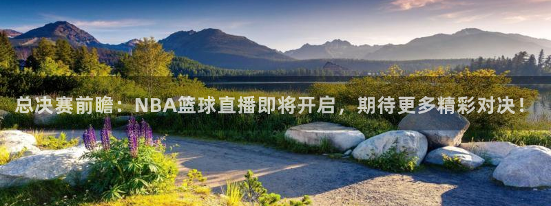 鲸鱼体育tv.点我直达.org：总决赛前瞻：NBA篮球直播即将开启，期待更多精彩对决！