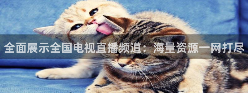 鲸鱼体育在线直播：全面展示全国电视直播频道：海量资源一网打尽