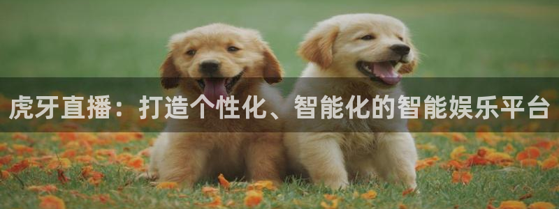 cc35tv鲸鱼体育：虎牙直播：打造个性化、智能化的智能娱乐平台