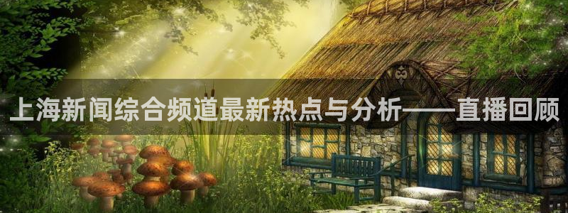 鲸鱼体育nba直播在线观看免费：上海新闻综合频道最新热点与分析——直播回顾