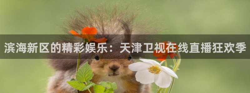 鲸鱼体育tv在线观看：滨海新区的精彩娱乐：天津卫视在线直播狂欢季