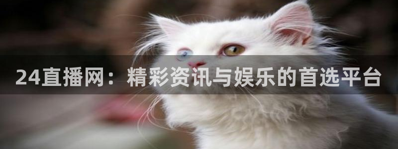 鲸鱼体育tv版下载：24直播网：精彩资讯与娱乐的首选平台