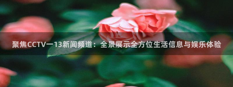 鲸鱼直播体育直播：聚焦CCTV一13新闻频道：全景展示全方位生活信息与娱乐体验